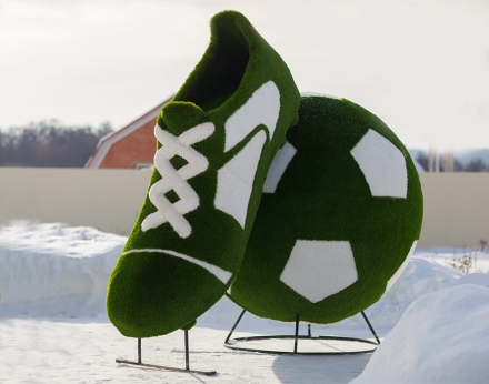 Топиари &quot;Бутса с мячом&quot;, фото 1