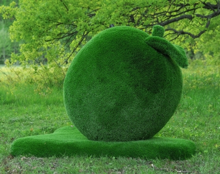 Топиари яблоко Гренни - газон Eco Green, фото 1