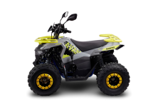 Квадроцикл AVANTIS Ray 8 Lux