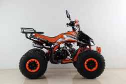Квадроцикл MOTAX ATV T-Rex Super LUX 50 cc, фото 5