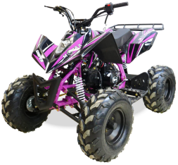 Квадроцикл MOTAX ATV T-Rex Super LUX 50 cc, фото 1