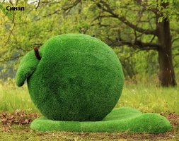 Топиари яблоко Синап - газон Eco Green, фото 2