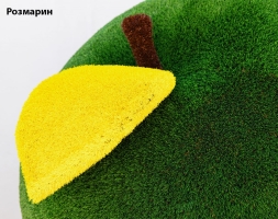 Топиари яблоко Синап - газон Eco Green, фото 4