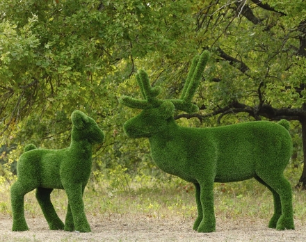 Топиари композиция олени Норди с Севой - газон Deluxe, фото 1