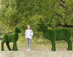 Топиари композиция олени Норди с Севой - газон Deluxe, фото 2