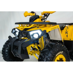 Квадроцикл подростковый MotoLand WILD X 125, фото 11 Квадроцикл подростковый MotoLand WILD X 125, фото 11