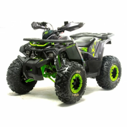 Квадроцикл подростковый MotoLand WILD X 125, фото 1 Квадроцикл подростковый MotoLand WILD X 125, фото 1