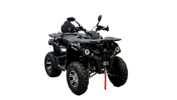 Квадроцикл BISON Hammer 200L Lux, фото 2