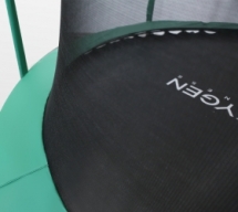 ARLAND Батут премиум 10FT с внутренней страховочной сеткой и лестницей (Dark green) ARLAND Батут премиум 10FT с внутренней страховочной сеткой и лестницей (Dark green)