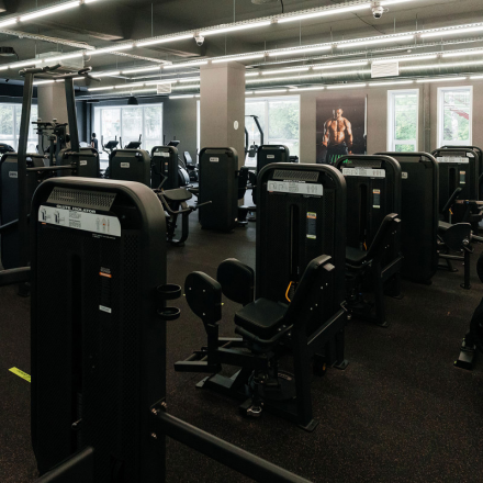 E-7018 Вращение торса (Rotary Rorso). Стек 65 кг., фото 4