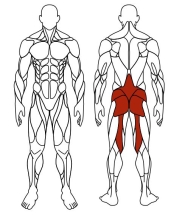 Гиперэкстензия (зеленый) - Уличный тренажер - СТ 003-12 Гиперэкстензия (зеленый) - Уличный тренажер - СТ 003-12