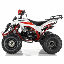 Квадроцикл MOTAX ATV Raptor Super LUX 125 сс Квадроцикл MOTAX ATV Raptor Super LUX 125 сс