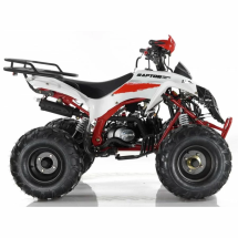 Квадроцикл MOTAX ATV Raptor Super LUX 125 сс Квадроцикл MOTAX ATV Raptor Super LUX 125 сс