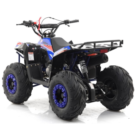 Квадроцикл MOTAX GRIZLIK A110, фото 4