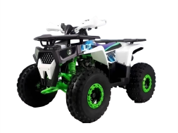 Квадроцикл MOTOLAND Shark 150 Квадроцикл MOTOLAND Shark 150