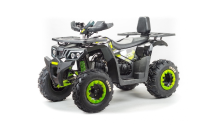 Квадроцикл BISON Track LUX, фото 1