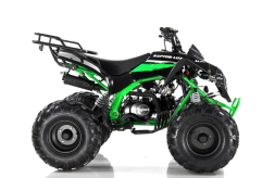 Квадроцикл MOTAX ATV Raptor-LUX 125 cc, фото 4