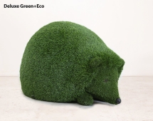 Топиари ёжик Холл - газон Deluxe