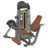 Изображение товара E-1002В Разгибание ног сидя (Leg Extension). Стек 109 кг.