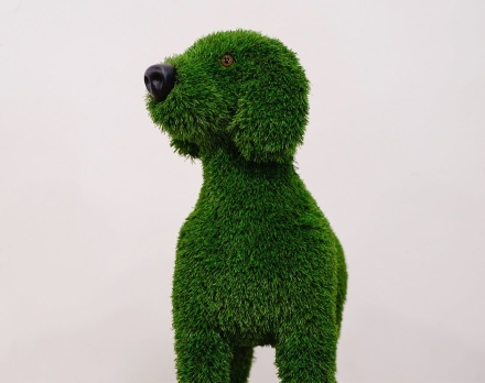 Топиари собака Грек - газон Eco, фото 5