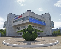 Топиари Самолет в ладонях - газон Есо, фото 4