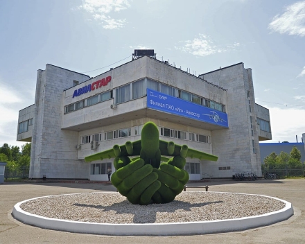 Топиари Самолет в ладонях - газон Есо, фото 4