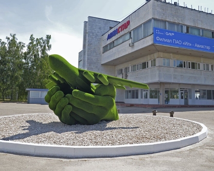 Топиари Самолет в ладонях - газон Есо, фото 3