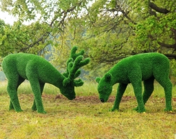 Топиари композиция Олени, олень и самочка - газон Eco Green