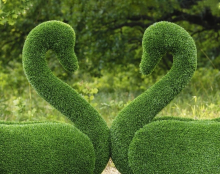 Топиари лебедь Кристи - газон Eco, фото 4