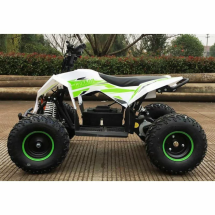 Квадроцикл MOTAX GEKKON 1300W Квадроцикл MOTAX GEKKON 1300W