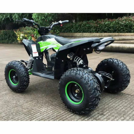 Квадроцикл MOTAX GEKKON 1300W, фото 6