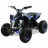 Квадроцикл MOTAX GEKKON 1300W