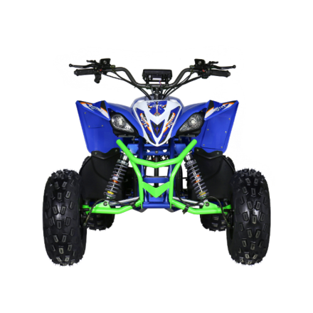 Квадроцикл электрический Motax E-PENTORA 1500W, фото 2