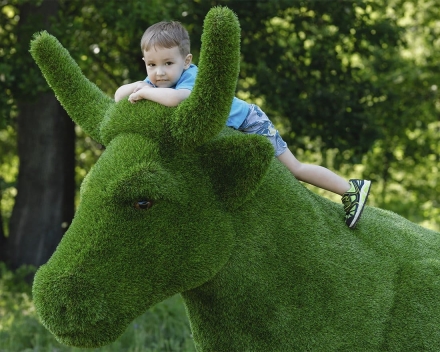 Топиари Корова - газон Premium, фото 3