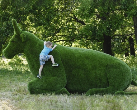 Топиари Корова - газон Premium, фото 2