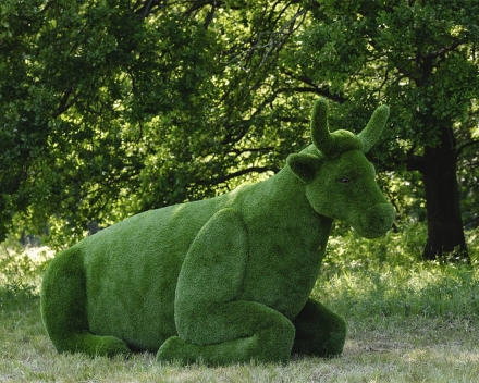 Топиари Корова - газон Premium, фото 1