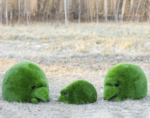 Топиари композиция Ёжики, 3 шт - газон Eco