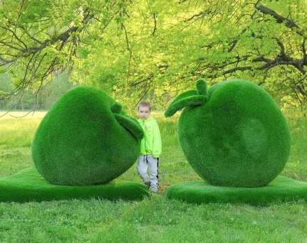 Топиари композиция яблоки - газон Eco Green, фото 2