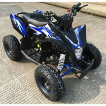 Квадроцикл MOTAX GEKKON 90cc Квадроцикл MOTAX GEKKON 90cc