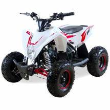 Квадроцикл MOTAX GEKKON 90cc Квадроцикл MOTAX GEKKON 90cc