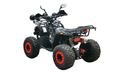 Квадроцикл BISON Kids 125 LD, фото 7