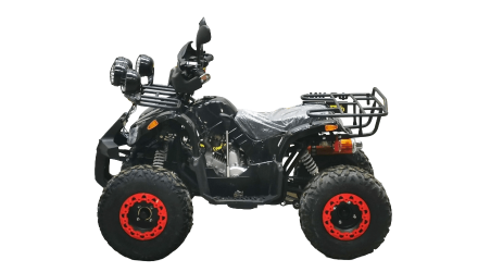 Квадроцикл BISON Kids 125 LD, фото 4