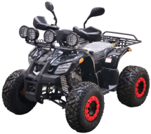 Квадроцикл BISON Kids 125 LD