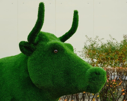 Топиари корова Хэльга - газон Eco, фото 4