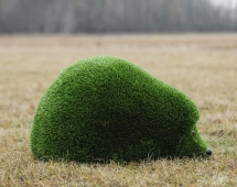 Топиари Ёжик малышок - газон Deluxe