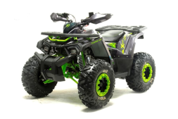 Квадроцикл MOTOLAND Wild X Баланс. вал. (2021 Г.), фото 1 Квадроцикл MOTOLAND Wild X Баланс. вал. (2021 Г.), фото 1