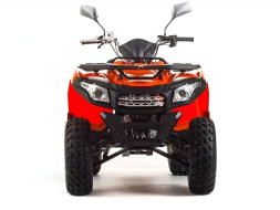 Квадроцикл MOTOLAND 200 Max, фото 8 Квадроцикл MOTOLAND 200 Max, фото 8