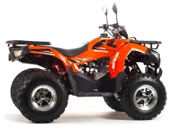 Квадроцикл MOTOLAND 200 Max, фото 7 Квадроцикл MOTOLAND 200 Max, фото 7