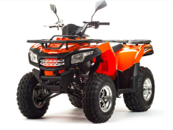 Квадроцикл MOTOLAND 200 Max, фото 1 Квадроцикл MOTOLAND 200 Max, фото 1