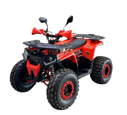 Квадроцикл BISON Forest 125, фото 1